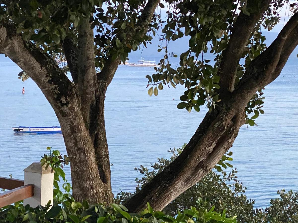 Pescador View - Beachfront & Nearby The Ocean Hostels & Restaurant モアルボアル エクステリア 写真