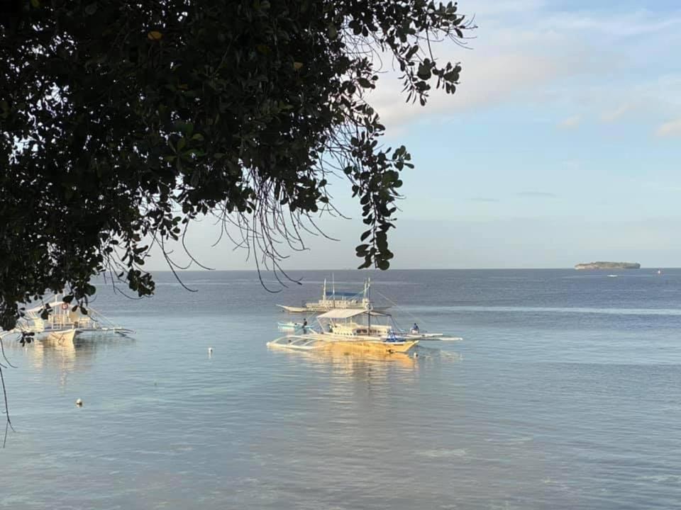 Pescador View - Beachfront & Nearby The Ocean Hostels & Restaurant モアルボアル エクステリア 写真