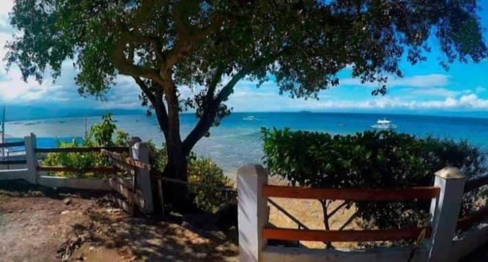 Pescador View - Beach Resort & Restaurant モアルボアル エクステリア 写真