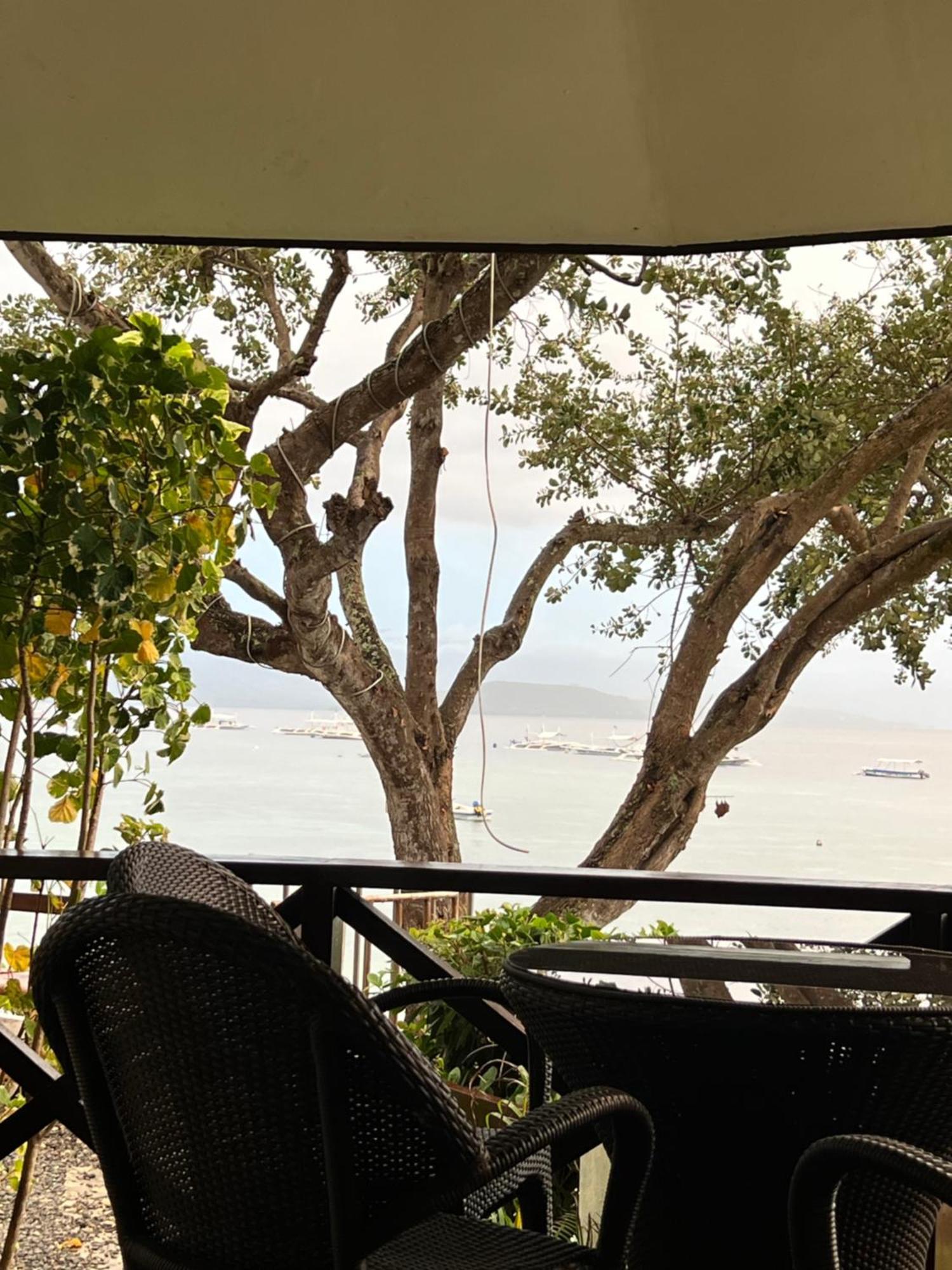 Pescador View - Beachfront & Nearby The Ocean Hostels & Restaurant モアルボアル エクステリア 写真
