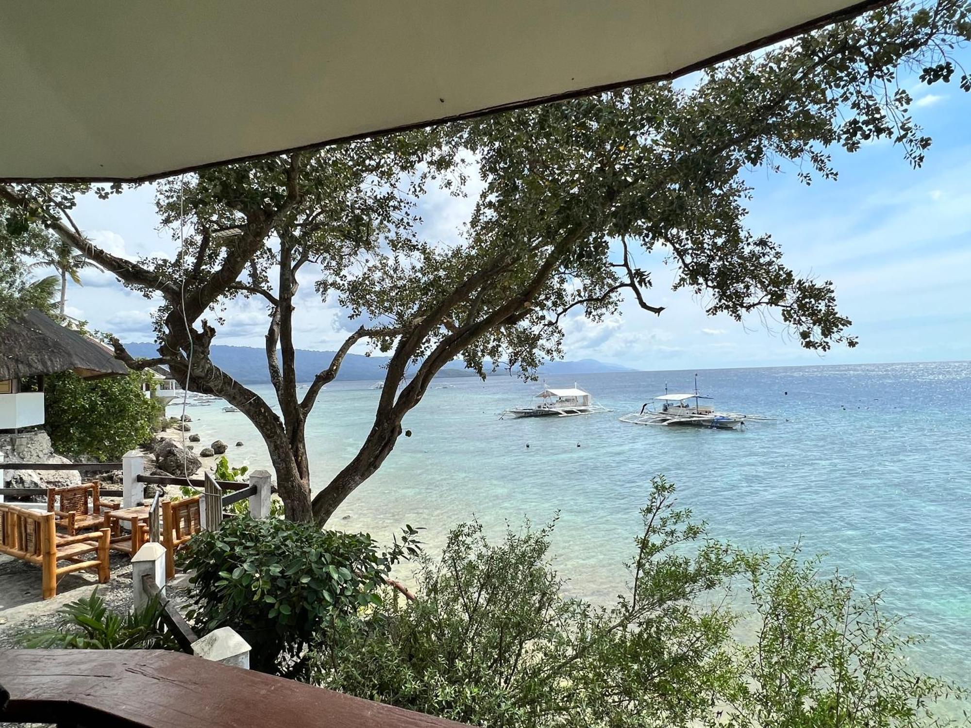 Pescador View - Beachfront & Nearby The Ocean Hostels & Restaurant モアルボアル エクステリア 写真