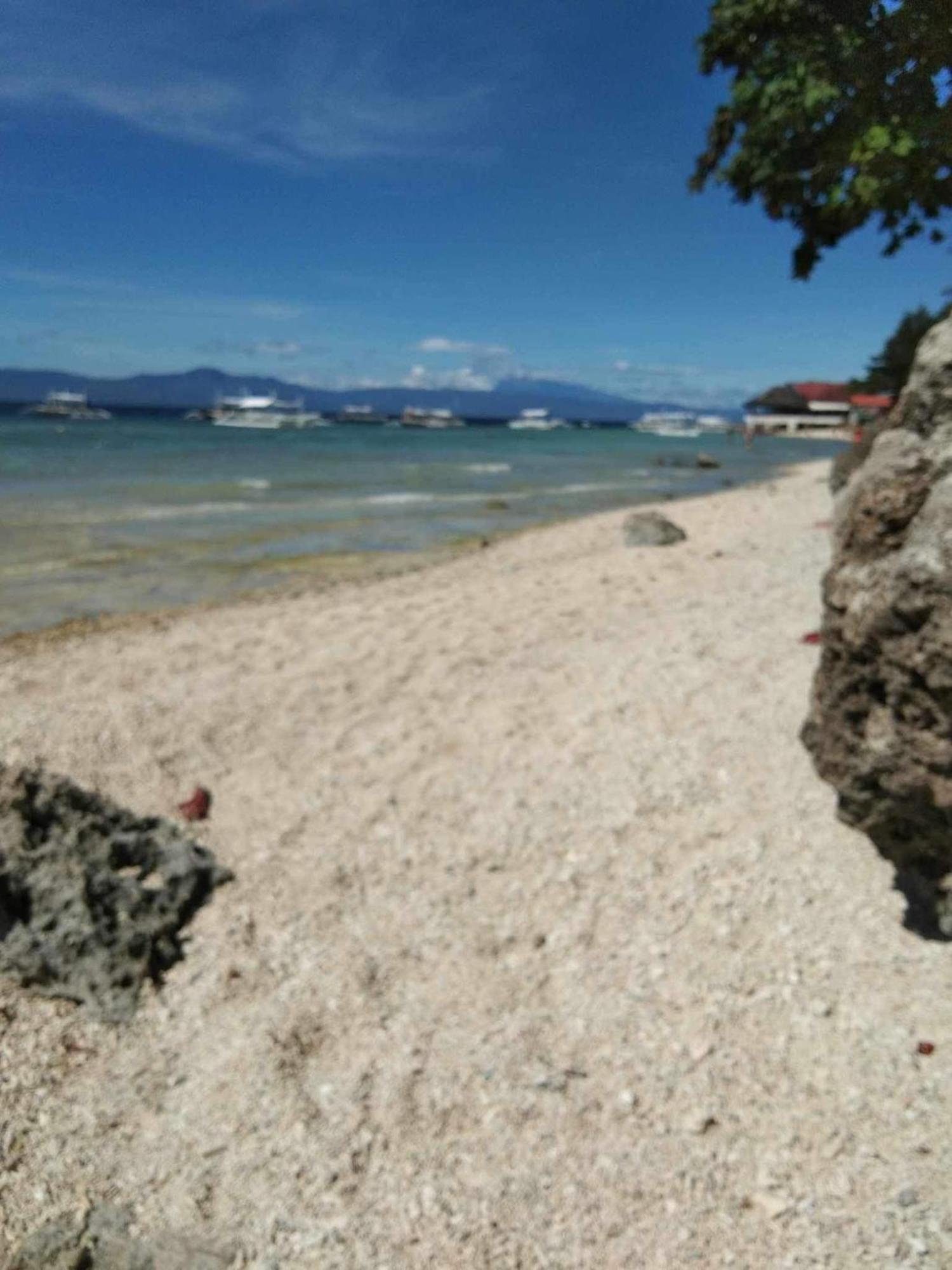 Pescador View - Beachfront & Nearby The Ocean Hostels & Restaurant モアルボアル エクステリア 写真