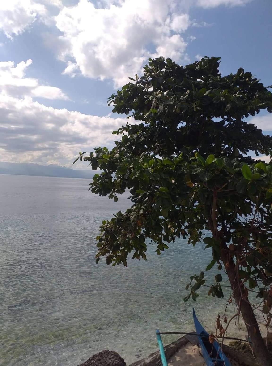Pescador View - Beachfront & Nearby The Ocean Hostels & Restaurant モアルボアル 部屋 写真