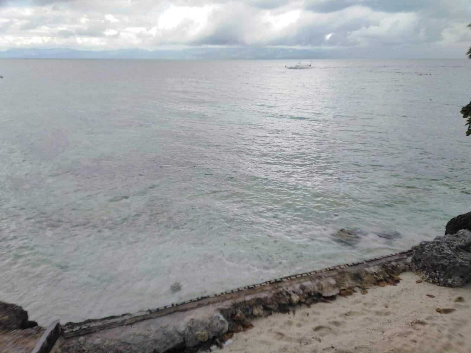 Pescador View - Beachfront & Nearby The Ocean Hostels & Restaurant モアルボアル 部屋 写真