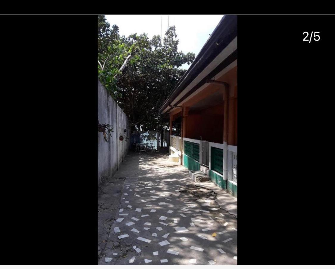 Pescador View - Beachfront & Nearby The Ocean Hostels & Restaurant モアルボアル 部屋 写真
