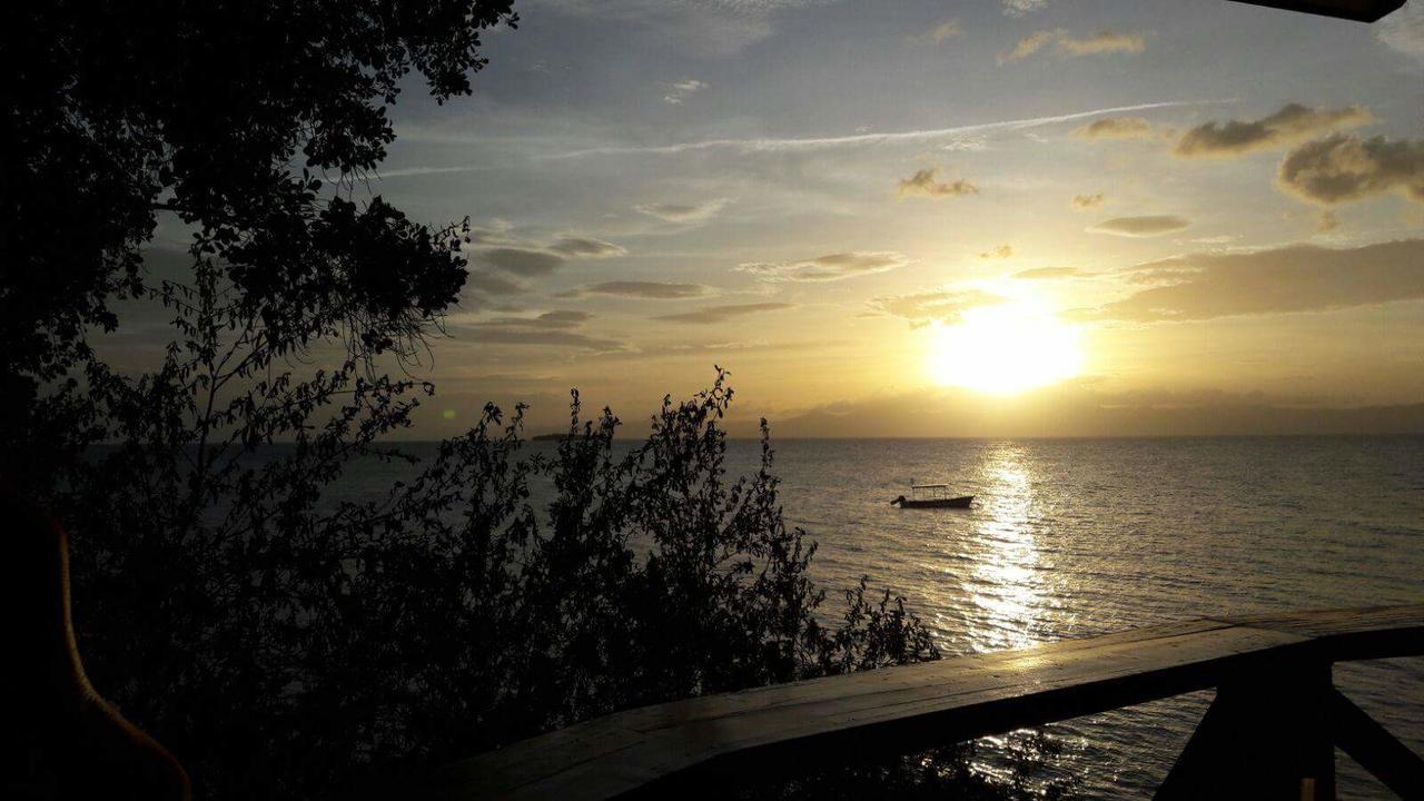 Pescador View - Beachfront & Nearby The Ocean Hostels & Restaurant モアルボアル エクステリア 写真