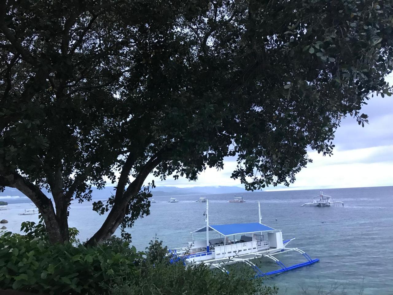 Pescador View - Beachfront & Nearby The Ocean Hostels & Restaurant モアルボアル エクステリア 写真